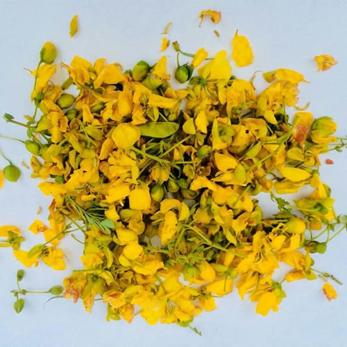Tanner's cassia flower, Senna Auriculata, Aavaram poo, Tarwar, Tangadi, Olle tangadi, Tagedu dryed pack of 100 Grams - Image 5